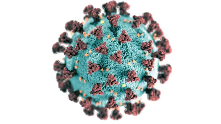Científicos descubren los “Migriones”, una nueva estructura similar a un virus que potencia la infección