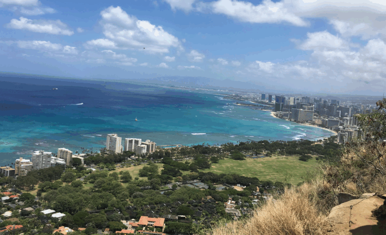NASA logró detectar un tsunami en tiempo real