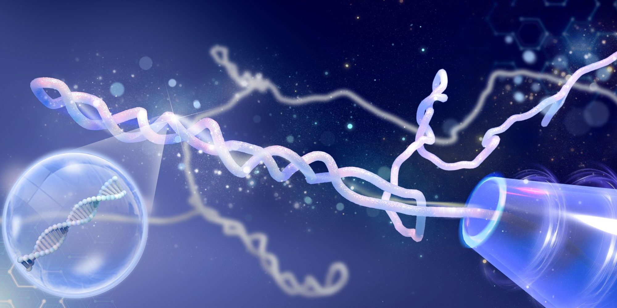 Durante décadas creímos que el ADN se anudaba, pero estaba pasando otra cosa