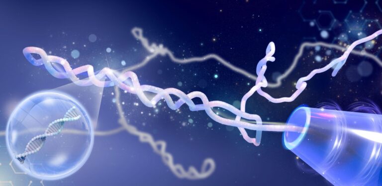 Durante décadas creímos que el ADN se anudaba, pero estaba pasando otra cosa