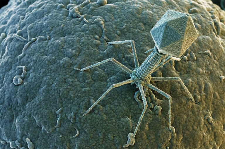 Microbios mutaron en el espacio y desarrollaron una capacidad notable