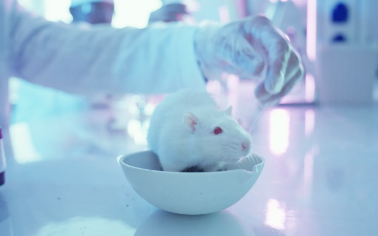 Un estudio radical de 20 años revela que la clonación genética ha llegado a su límite