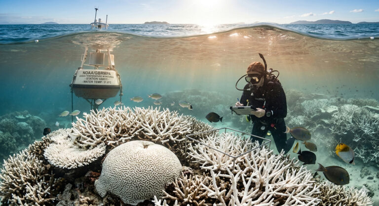 La Tierra se está calentando el doble de rápido que en décadas anteriores