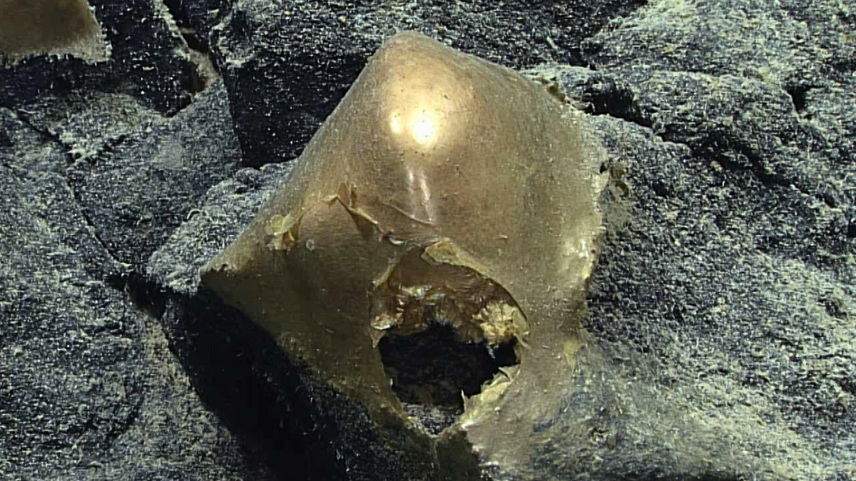 Finalmente se ha identificado aquella misteriosa esfera dorada en el fondo del océano