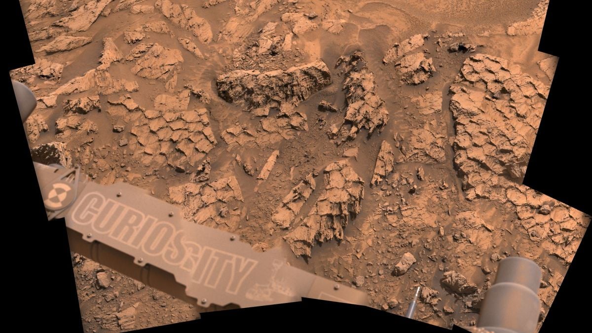 Científicos están entusiasmados con el nuevo descubrimiento del rover Curiosity: extrañas rocas con forma de «escamas de dragón»