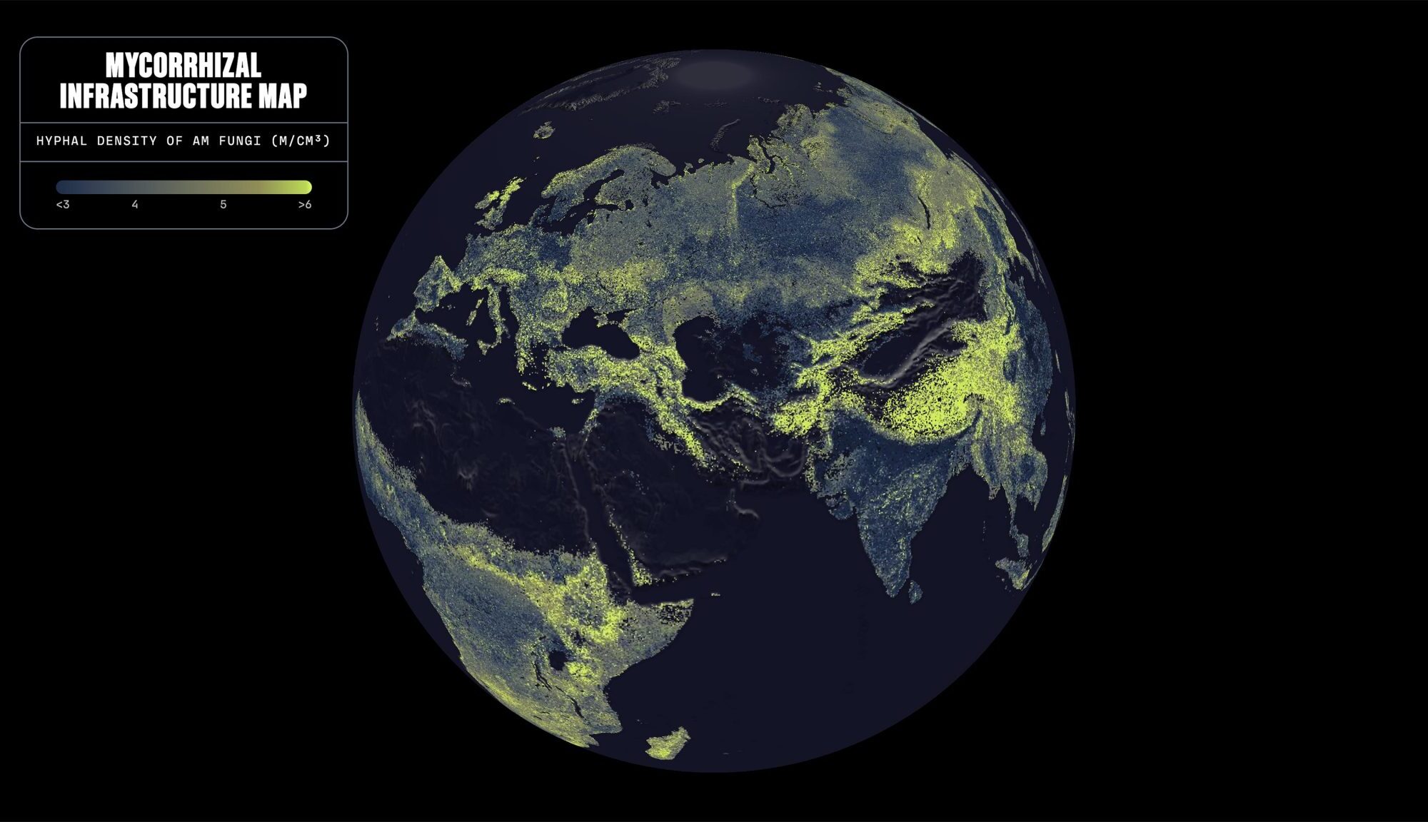 Crean el primer mapa global de la red de hongos que sostiene la vida en la Tierra