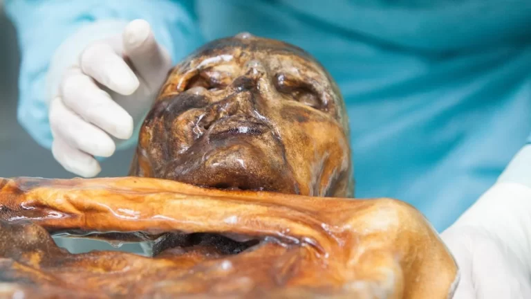 Científicos encontraron indicios de vida activa en Ötzi, el hombre de hielo