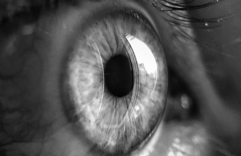 Las retinas humanas reanimadas responden a la luz 10 horas después de la muerte