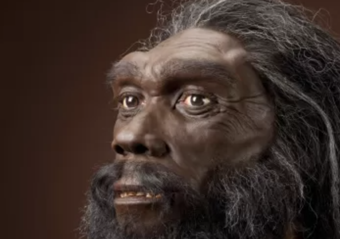 Nuestro ADN conserva casi completo a un misterioso antepasado humano