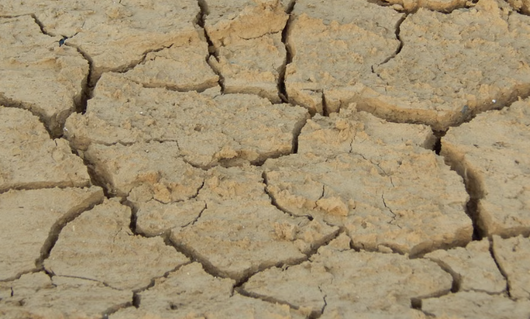 Más del 40% de la superficie terrestre podría volverse más seca para 2100