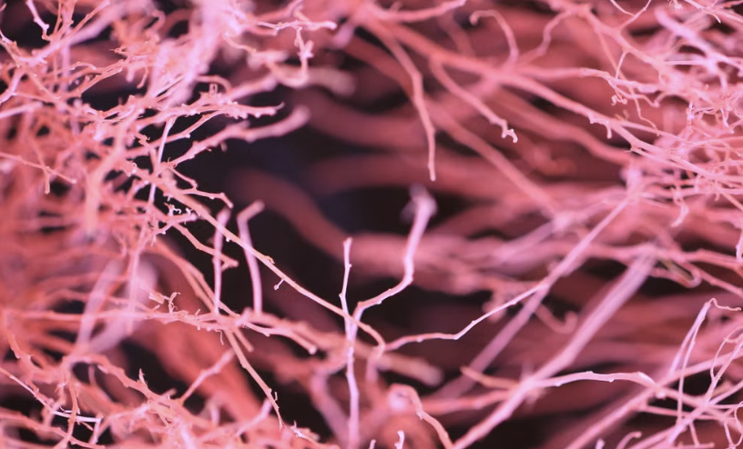 Descubren información oculta en las señales de las neuronas