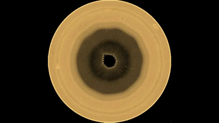 Astrónomos detectan una estructura de 10 lados en Saturno