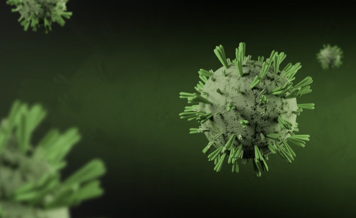 Encuentran miles de virus desconocidos en el fondo del Pacífico