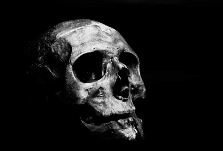 Científicos identifican 17 grandes amenazas para la humanidad: dos podrían causar nuestra extinción